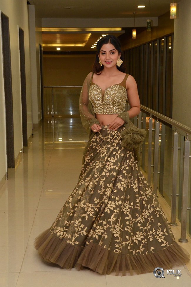 Kashmira-at-Nartanasala-Pre-Release-Event